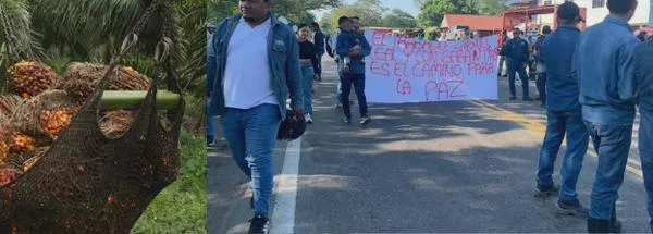 Medida cautelar prohíbe a la ANT tomar las 1.200 hectáreas de la hacienda La Gloria que serían baldíos