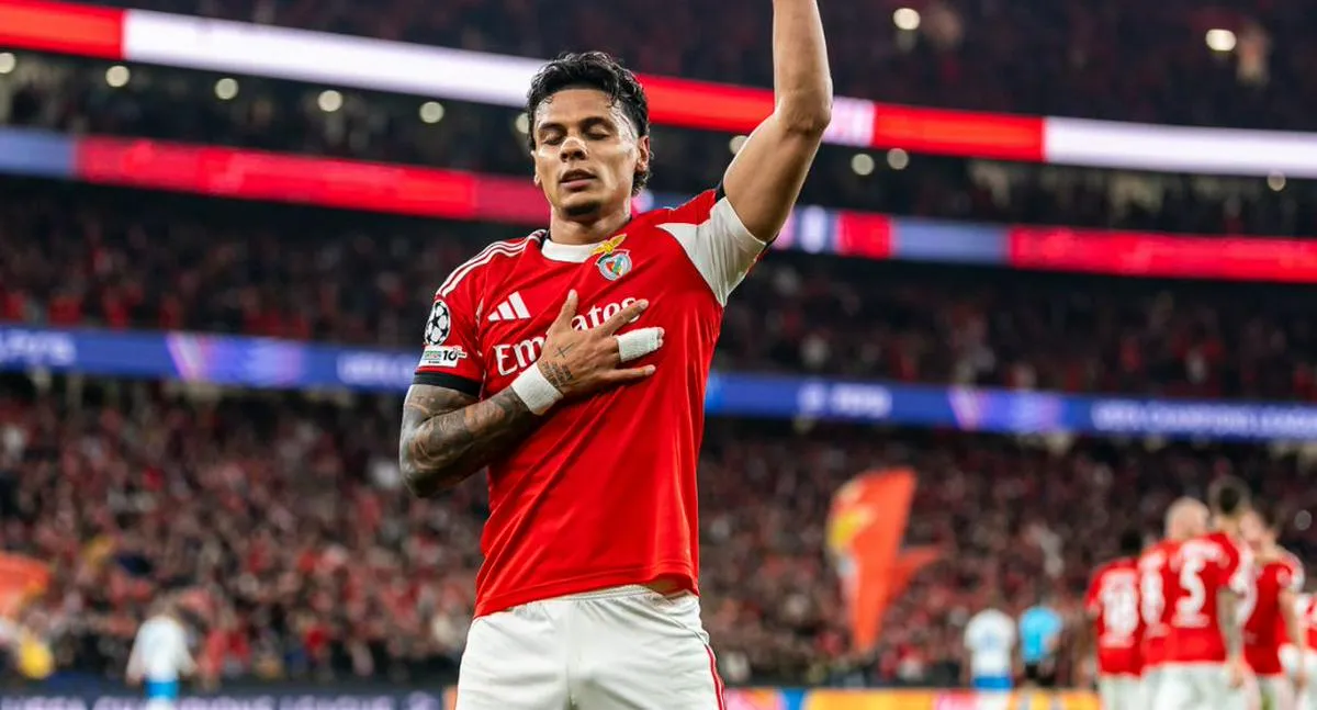 Imagen representativa del artículo