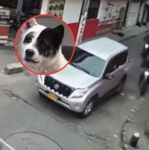 imagen nota inferior