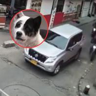 Esta camioneta, adscrita al Ministerio de Educación, mató a una mascota en Bogotá y se dio a la fuga