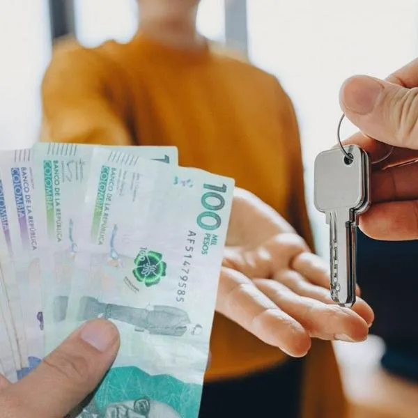 imagen principal home