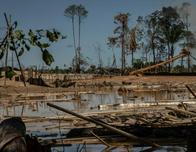 Guardianes de la Trocha: la banda que se disputa el oro y siembra el terror en La Pampa peruana