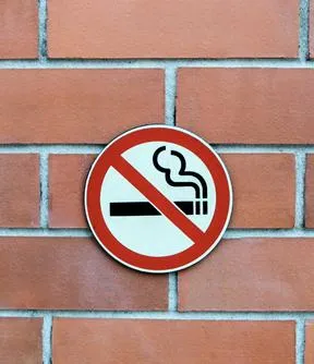 Imagen representativa del artículo