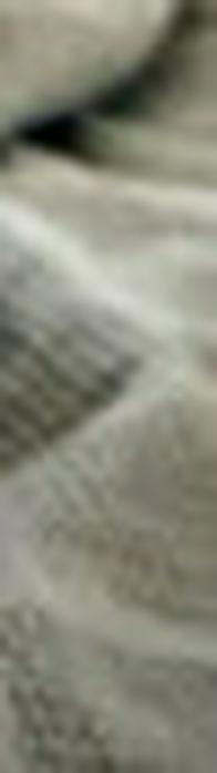 El Sabueso Fino Colombiano se convierte en la primera raza de perro colombiana con reconocimiento global