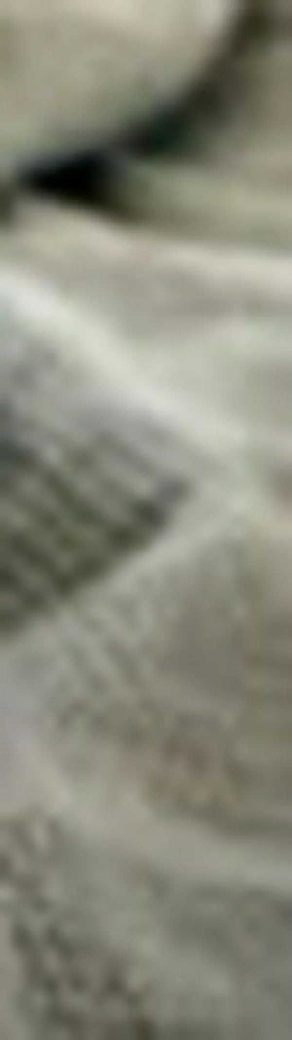 El Sabueso Fino Colombiano se convierte en la primera raza de perro colombiana con reconocimiento global