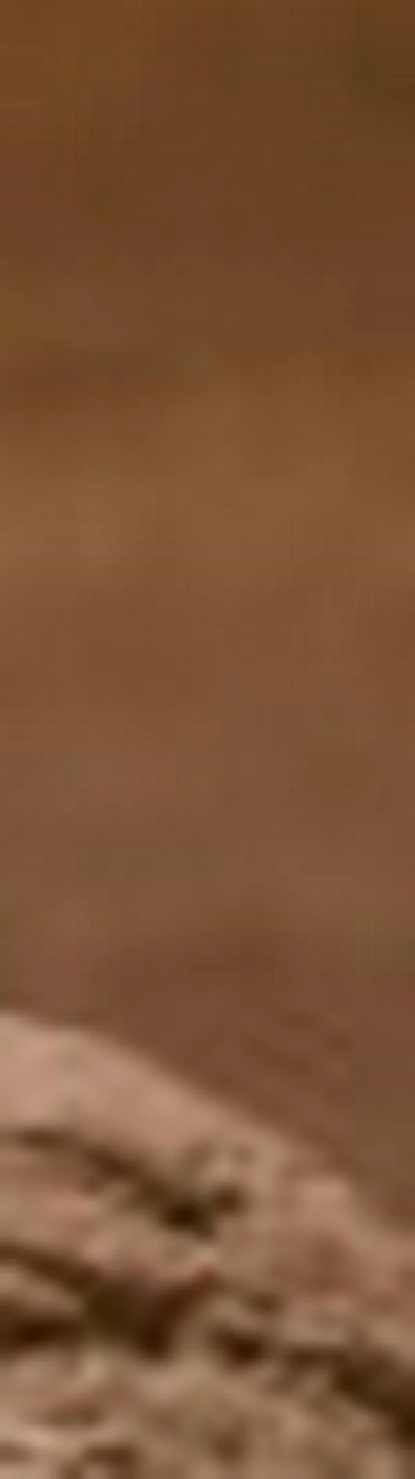 Los trabajos que se van a necesitar en la nueva etapa de la exploración espacial