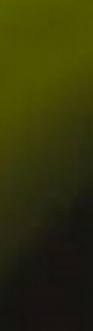 imagen nota inferior