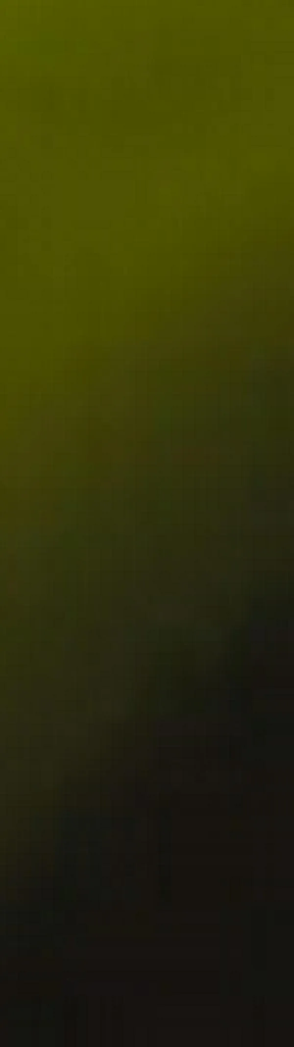 Sequías y cambio climático favorecen la expansión del virus del Nilo Occidental