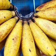 ¿Por qué hay que colgar los bananos truco infalible para que duren más