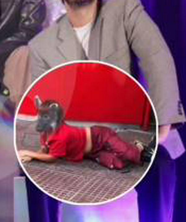 imagen principal home