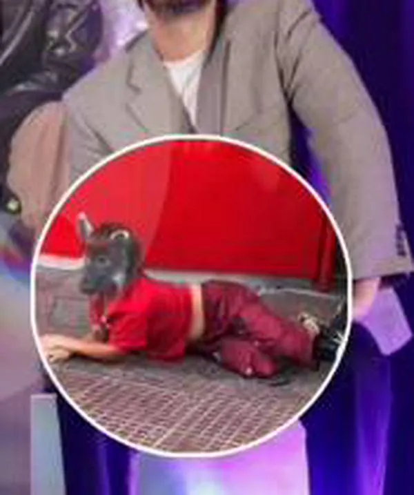 Ataque a Morat en Buenos Aires: joven señalada como “therian” se lanzó sobre la banda