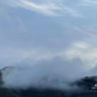 Drones con glifosato: la “arriesgada” apuesta de Colombia y EE. UU. para frenar cultivos ilícitos