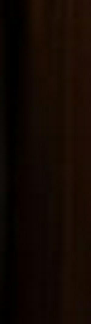 imagen nota inferior