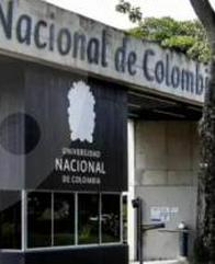 Los líos en los que se metió el Consejo Superior de la U. Nacional por elección de rector
