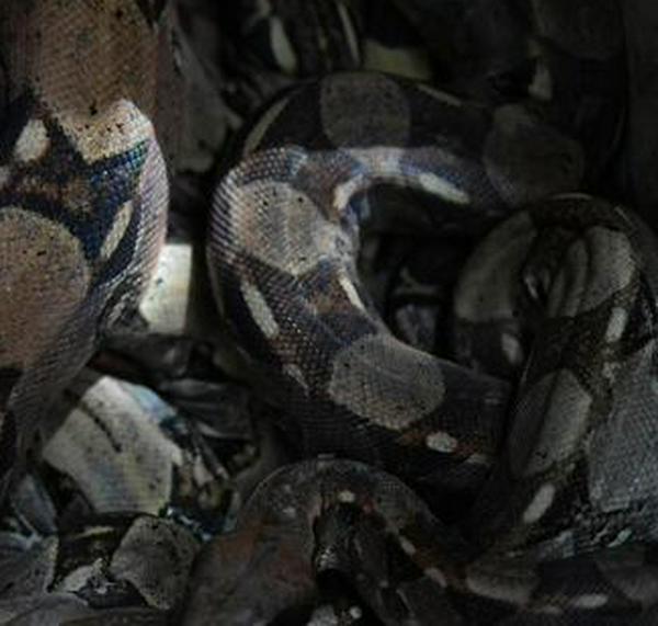 imagen principal home