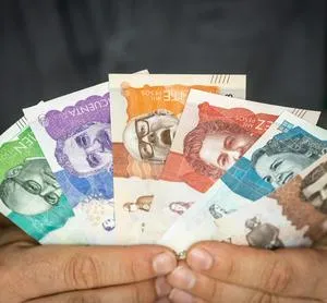 imagen nota inferior