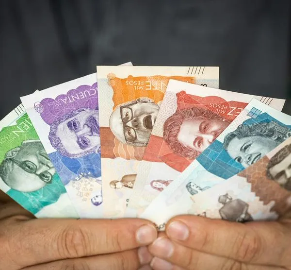 imagen principal home