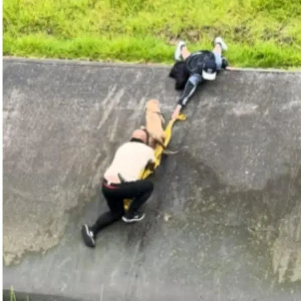 Video: hombres en Bogotá rescatan a perro atrapado en un caño