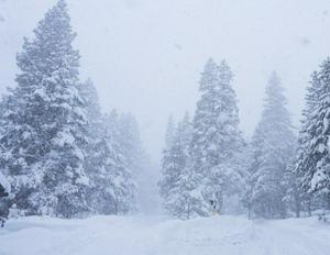 imagen nota inferior