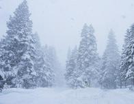 Diez esquiadores desaparecidos en una avalancha en el norte de California