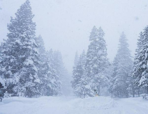 imagen principal home