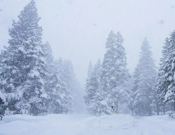 Diez esquiadores desaparecidos en una avalancha en el norte de California