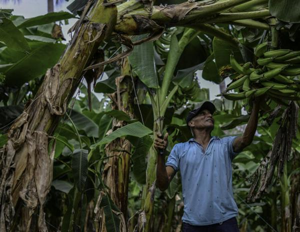 imagen principal home