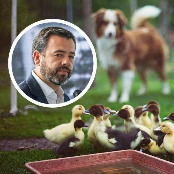 Esmeralda Hernández afirmó que el alcalde Carlos F. Galán ordenó el desalojo de la Granja La Marielita, un santuario ubicado en el ecobarrio La Esmeralda. 