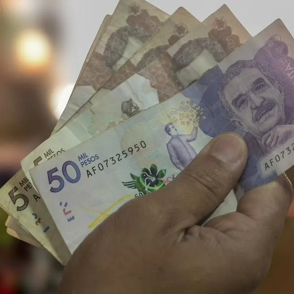 imagen principal home