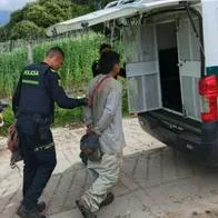 Cómo denunciar una urbanización ilegal en Bogotá: operativo en Usme deja alertas