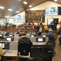 ¿Habrá nuevo festivo en Colombia?: Concejo de Bogotá oficializó nuevo día conmemorativo