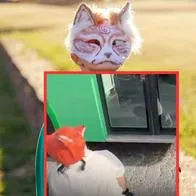 [Video] Conductor de bus le cierra la puerta en la cara a un 'therian' en México