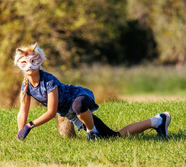 imagen principal home