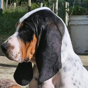 imagen nota inferior