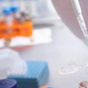 imagen nota inferior