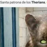 Los memes más virales de los therians, el fenómeno que inunda las redes sociales