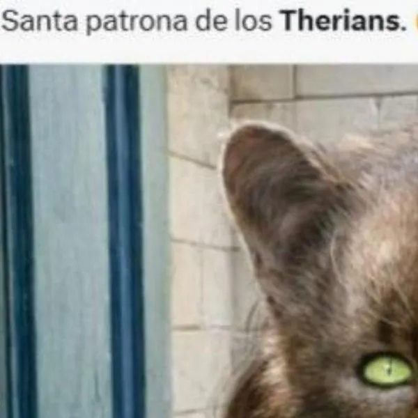 Los memes más virales de los therians, el fenómeno que inunda las redes sociales