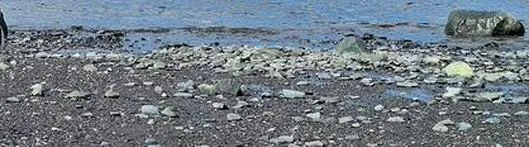 Los proyectos para establecer una estación científica colombiana en la Antártida