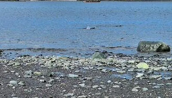 Los proyectos para establecer una estación científica colombiana en la Antártida