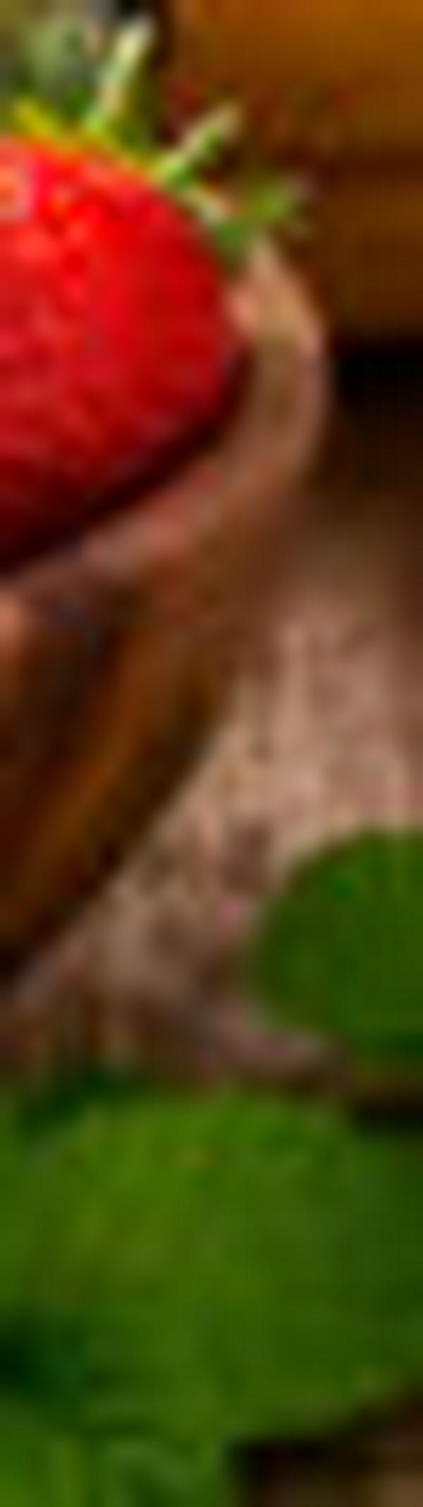 imagen principal home