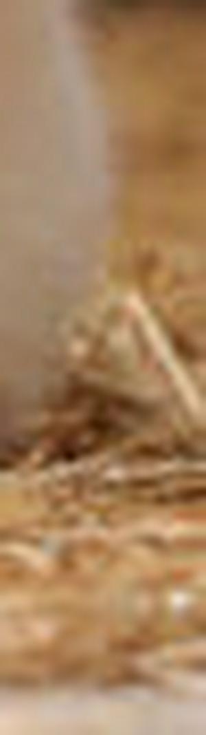 imagen nota inferior