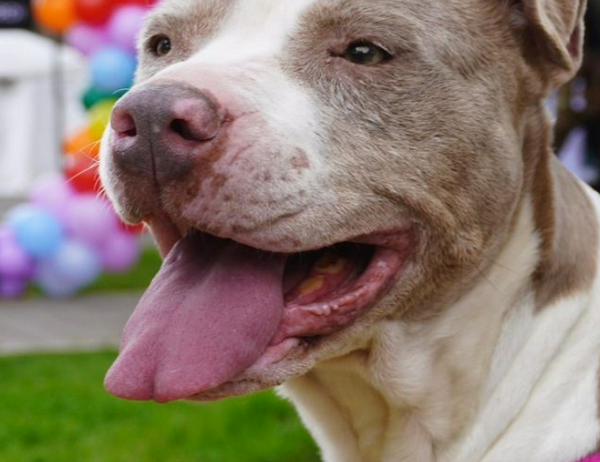 imagen principal home