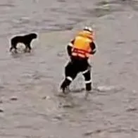 Patrick Ospina Orejuela: bombero murió en Perú salvando a un perro
