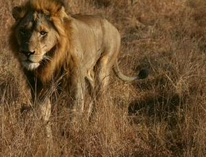 imagen nota inferior