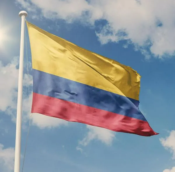 Eln decretó cese unilateral al fuego por elecciones del 8 de marzo: qué dijo