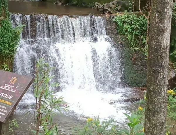 Bogotá invita a reconectarse con la naturaleza a través de caminatas ecológicas gratis: participa en febrero y marzo 