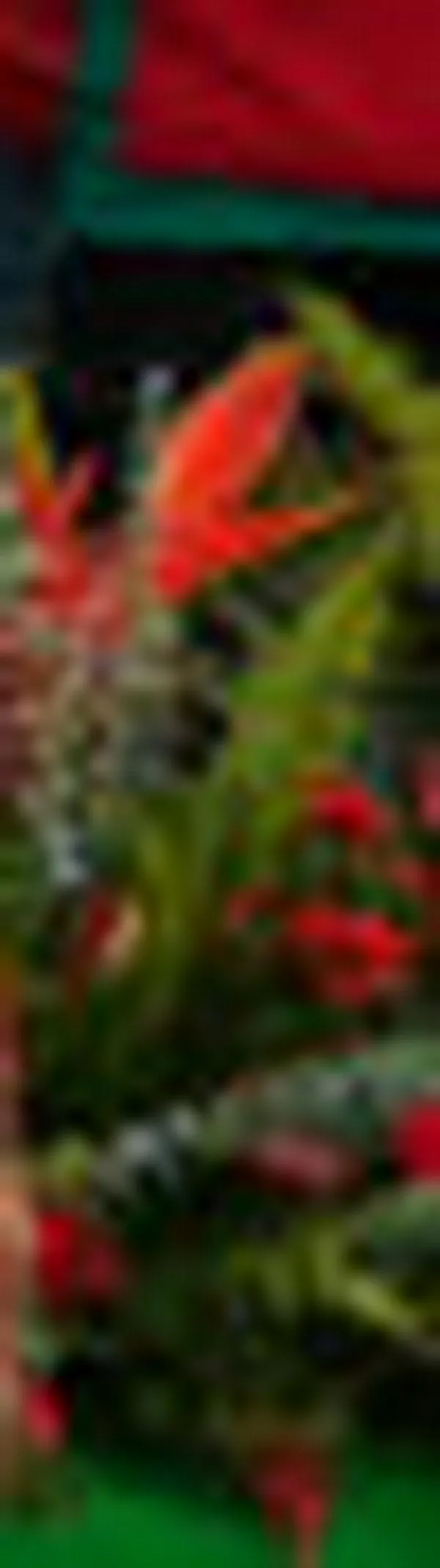 Tensión en el Cauca ante posible nuevo bloqueo de la Vía Panamericana