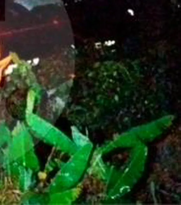 Bus que cubría la ruta entre Cali y Medellín se fue a un abismo en el Suroeste antioqueño