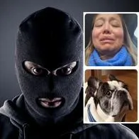 Robo con arma en Bogotá para hurtar un perro: dan detalles del carro involucrado