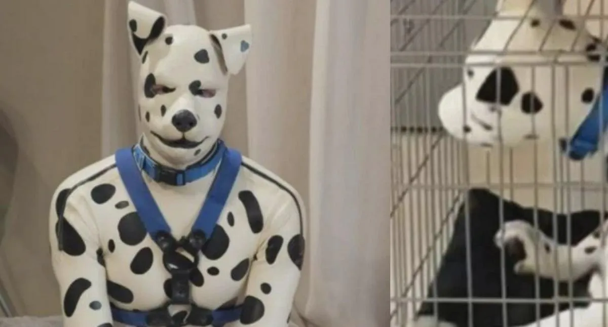 Imagen representativa del artículo